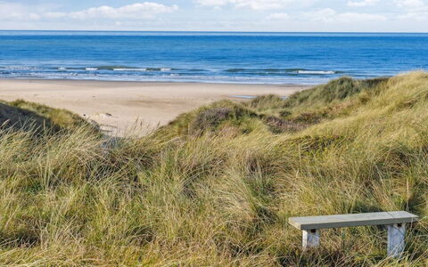 Pihla - 150M from the Sea: Meubilair, Buitenmeubels, Tableware, Tafel, Drinkware, Stoel, Buitentafel, Voedsel, Fles