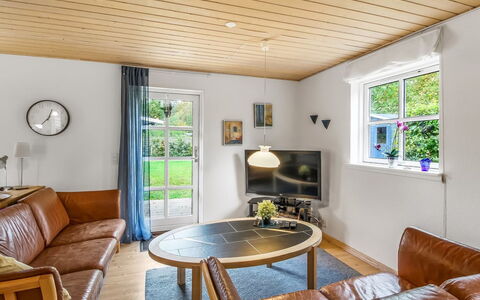 Tomassine: Interieur Ontwerp, Flooring, Meubilair, Hout, Verdieping, Plafond, Bankstel, Houten Vloer, Woonkamer, Huis