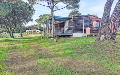 Chalet Terra Tramandera 600.1: Land Lot, Schaduw, Gazon, Werf, Tuin, Garden Gebouwen, Backyard, Landscaping, Park, Blokhut