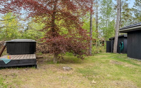 Felippa - from the Sea: Gras, Hout, Landelijk Gebied, Struik, Verblijf, Dak, Plain, Land Lot, Huis, Groundcover