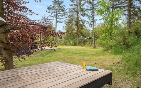 Felippa - from the Sea: Gras, Hout, Landelijk Gebied, Struik, Verblijf, Dak, Plain, Land Lot, Huis, Groundcover