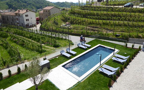 Villa Valdobbiadene Pool Spa: Stedelijk Ontwerp, Tuin, Werf, Zwembad, Landscaping, Landbouw, Plantage, Vogelperspectief, Backyard, Villa