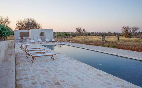 Terracorte Villa: Samengesteld Materiaal, Zwembad, Reflectie, Reflecting Pool, Waterpartij, Buitenmeubels