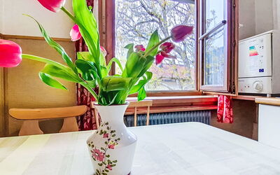 Accommodatie:&nbsp;Wieshammer 12.1