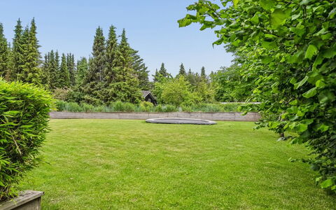 Galatia - 1.4Km from the Sea: Boom, Gras, Groen, Struik, Tuin, Landschap, Land Lot, Gazon, Groundcover