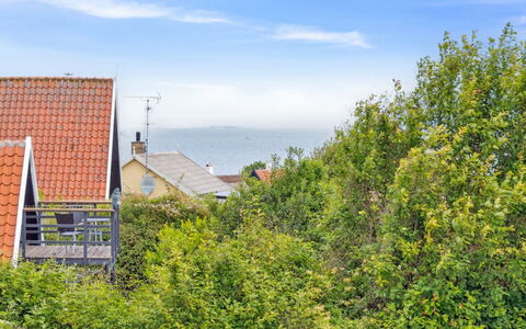 Siegfried - 100M from the Sea: Gras, Grasland, Land Lot, Verblijf, Landelijk Gebied, Weide, Garden Gebouwen, Tuin, Schuur