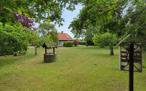 Siegfried - 100M from the Sea: Gras, Grasland, Land Lot, Verblijf, Landelijk Gebied, Weide, Garden Gebouwen, Tuin, Schuur