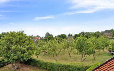Siegfried - 100M from the Sea: Gras, Grasland, Land Lot, Verblijf, Landelijk Gebied, Weide, Garden Gebouwen, Tuin, Schuur