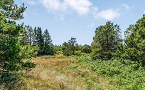 Erle - 990M from the Sea: Blauw, Struik, Verblijf, Groundcover, Tuin, Landgoed, Schaduw, Landscaping, Boerderij, Eco Hotel