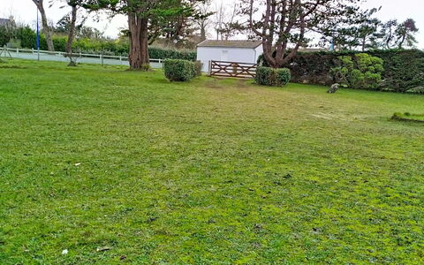 Le Chalet: Gras, Grasland, Gazon, Land Lot, Plain, Groundcover, Tuin, Pasture, Weide