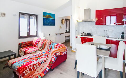 Amarena: Meubilair, Huis, Appartement, Stoel, Toevlucht, Hotel, Balkon, Kamerplant, Hoofdkussen
