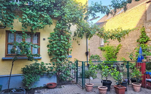 Tinkerhof Stahlhut: Groen, Struik, Bloempot, De Lente, Kamerplant, Tuin, Werf, Binnenplaats, Backyard