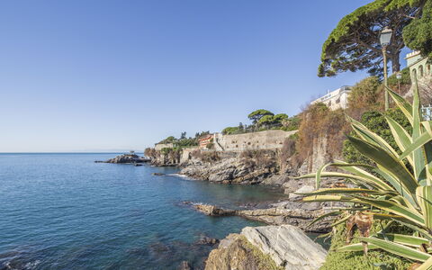Focaincontromano Seaview, Genova: Blauw, Water, Zwemwater, Kust, Kust En Oceanic Landvormen, Zee,  Felsen\, Horizon, Zomer, Headland