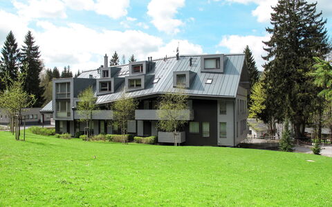 Harrachov Resident a: Huis, Woongebied, Huis, Verblijf, Landgoed, Voorstad, Werf, Siding, Landscaping