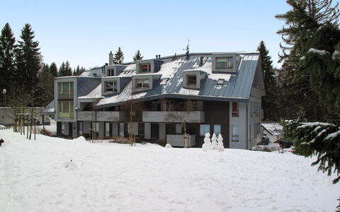 Harrachov Resident a: Huis, Winter, Freezing, Sneeuw