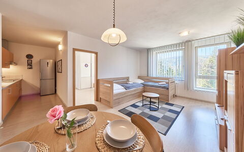Harrachov Resident a: Interieur Ontwerp, Meubilair, Hout, Flooring, Plafond, Appartement, Verdieping, Kamer, Stoel, Woonkamer