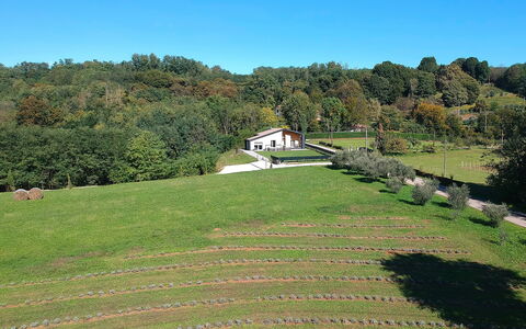 Villa Dolce Bosco with Pool, Valdobbiadene: Boom, Gras, Plain, Landschap, Grasland, Struik, Landelijk Gebied, Land Lot, Groundcover