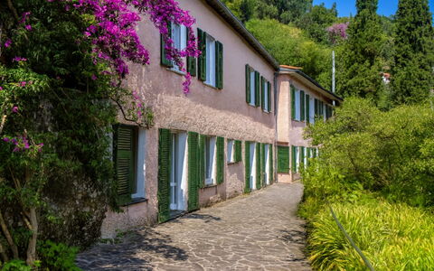 Portofino: Struik, De Lente, Tuin, Gang
