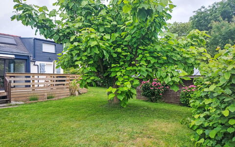 Maison de Kergoff: Blad, Woody Plant, Tuin, Gazon, Backyard, Werf, Schaduw, Landscaping