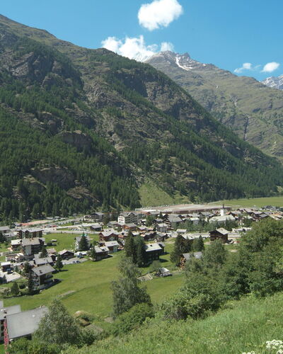 Verte-Rive