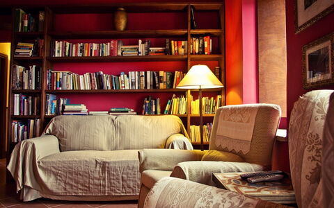 Selvamica: Meubilair, Interieur Ontwerp, Boekenkast, Flooring, Rood, Stellingen, Hout, Plank, Verdieping, Woonkamer