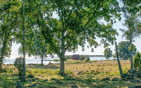 Ragnabo: Meubilair, Schaduw, Veranda, Stoel, Buitenmeubels, Outdoor Structuur, Eco Hotel, Balkon, Pergola, Dek