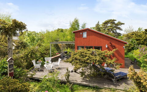 Ringenäs: Struik, Verblijf, Huis, Land Lot, Huis, Tuin, Landelijk Gebied, Groundcover, De Lente