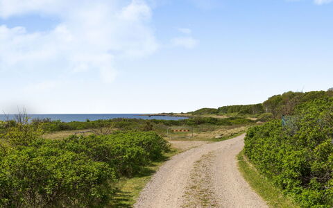 Ringenäs: Lucht, Blauw, Groen, Vegetation, Horizon, Natuurlijk Landschap, Ecoregio, Weg, Zomer, Grasland