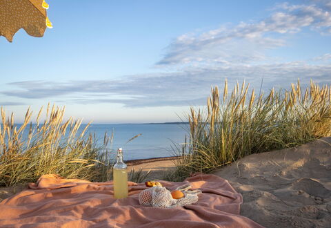 Ringenäs: Zomer, Strand, Zee, Picknick, Kust, Oceaan, Zand, Kust, Warmte, Buitenmeubels