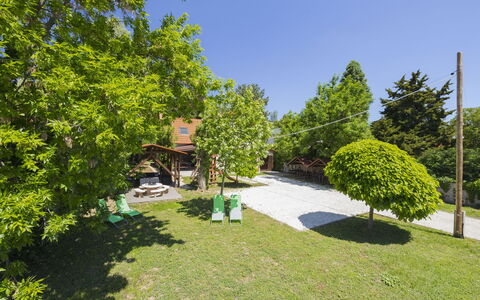 Badacsonyörs 101: Boom, Struik, Tuin, Gazon, Schaduw, Landscaping, Werf, Park, Backyard, Hacienda