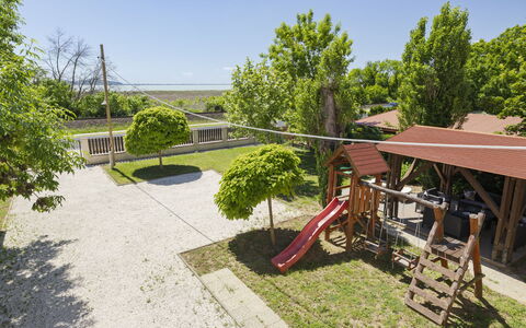 Petka: Struik, Tuin, Schaduw, Landscaping, Gazon, Werf, Landgoed, Backyard, Hacienda