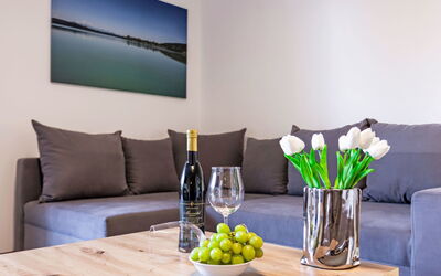 Accommodatie:&nbsp;Alpenlodge Geißstein 110.9