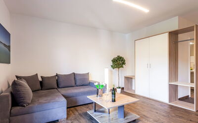 Accommodatie:&nbsp;Alpenlodge Geißstein 110.9