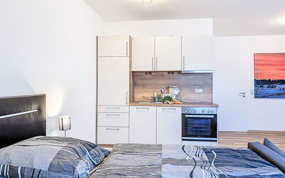 Accommodatie:&nbsp;Alpenlodge-Höfats 110.2