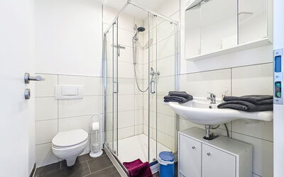 Accommodatie:&nbsp;Alpenlodge-Spitzenstein 110.1
