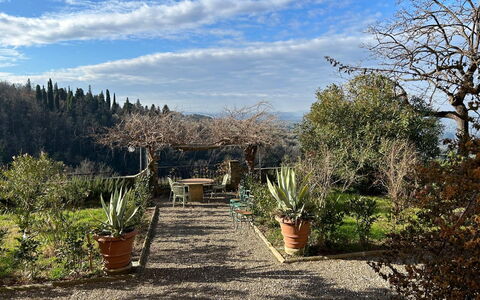 Villa Il Casalino, Florentine Hills with Pool: Vegetation, Struik, Landschap, Plantengemeenschap, Bloempot, Tuin, Landscaping, Botanische Tuin, Gang