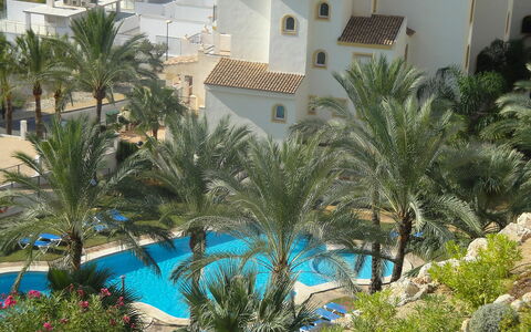 Altea Dorada: Zwembad, Vegetation, Eigendom, Toevlucht, Palmboom, Boom, Azure, Arecales, Vakantie, Hotel