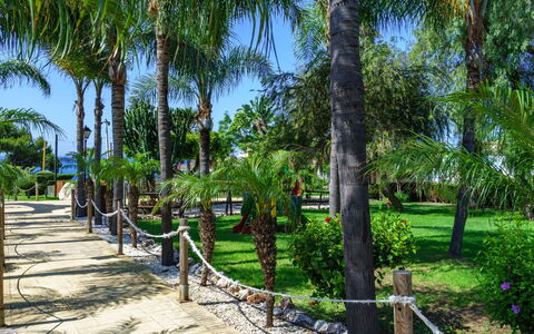 Cala Serena Village: Boom, Vegetation, Woody Plant, Trunk, Schaduw, Tropen, Gang