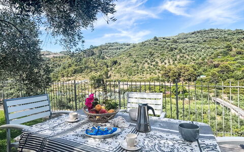 Micuzzo: Meubilair, Buitenmeubels, Stoel, Buitentafel, Keuken En Eettafel, Patio, Restaurant, Eco Hotel, Balkon, Koffietafel