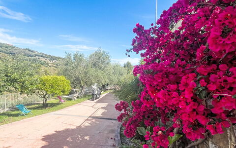 Micuzzo: Bloem, Struik, Roze, De Lente, Tuin, Petal, Bloeiende Plant, Botanische Tuin, Bloesem