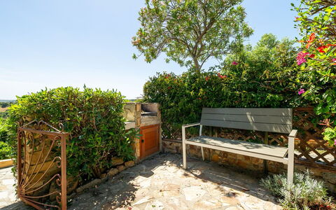 Casetta nel Blu: Struik, Tuin, Bloempot, Plantengemeenschap, Meubilair, De Lente, Buitenmeubels, Openluchtbank, Landscaping