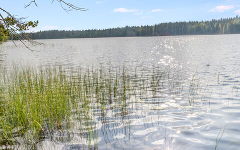 Kuikkaranta: Water, Watervoorraden, Zwemwater, Natuurlijke Omgeving, Natuur, Moeras, Natuurlijk Landschap, Bank