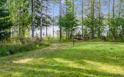 Kuikkaranta: Groen, Gras, Boom, Natuurlijke Omgeving, Blad, Vegetation, Natuurlijk Landschap, Zomer, Land Lot