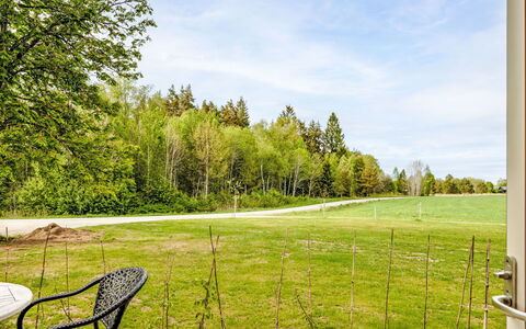 Hönetorpet: Boom, Gras, Land Lot, Gazon, Tuin, Zonlicht, Landscaping, Weide, Schaduw, Stoel