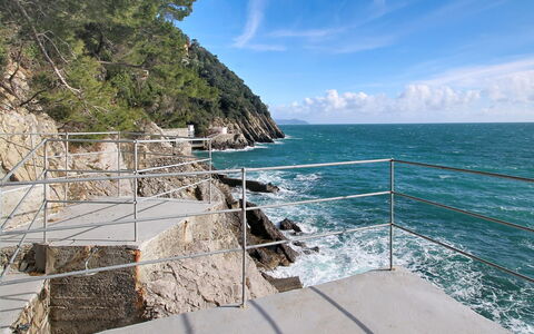Laccadiva: Kust En Oceanic Landvormen, Kust, Zee, Oceaan, Kust, Headland, Voorgebergte, Klif, Tropen