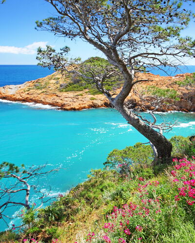 Cala Moreta: Blauw, Groen, Natuurlijk Landschap, Kust, Kust En Oceanic Landvormen,  Felsen\, Landschap, Kust, Inham, Zee