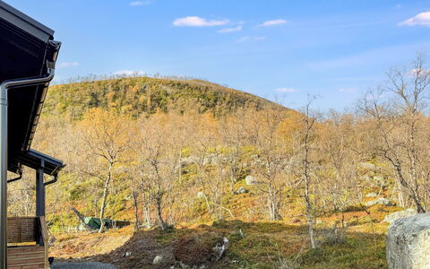 Saanan Taika: Blad, Afdeling, Landschap, Heuvel, Takje, Ochtend, Zonlicht, Helling, Herfst, Bergketen