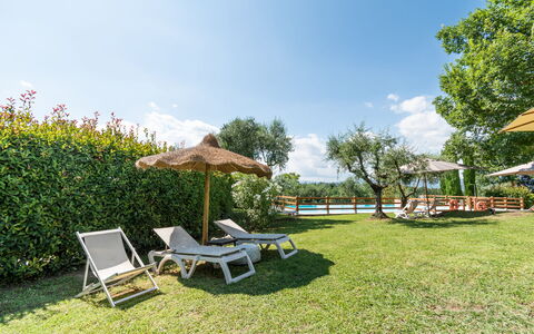 Agriturismo le Due Querce: Zwembad, Buitenmeubels, Toevlucht, Tuin, Ligstoel, Eco Hotel, Gazon, Schaduw, Landgoed, Vrije Tijd