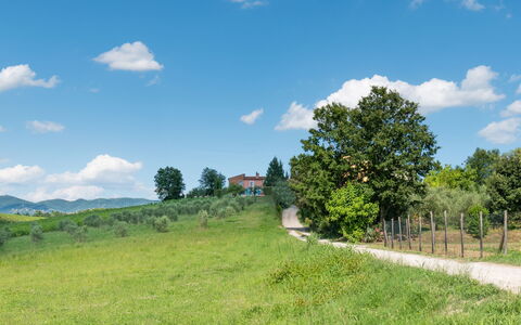 Agriturismo le Due Querce: Lucht, Gras, Groen, Natuurlijke Omgeving, Natuur, Natuurlijk Landschap, Grasland, Plain, Landschap