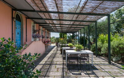 Accommodatie:&nbsp;Vite